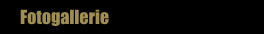 Fotogallerie
